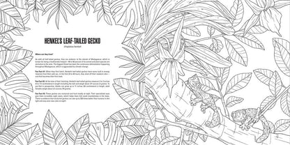 Line drawing of two Henkel's leaf-tailed geckos camouflaged in dense jungle foliage