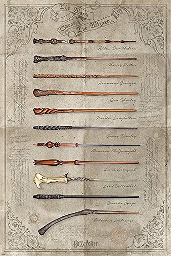 Harry Potter - The Wand Chooses You Poster - Good Games