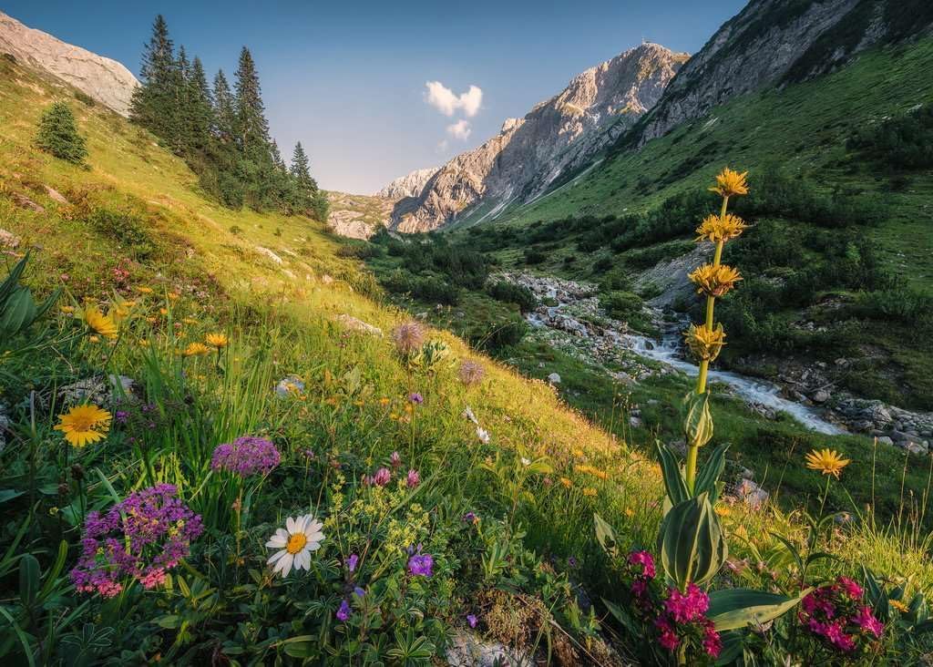 Ravensburger - Magical Valley - 1000 piece jigsaw - Good Games