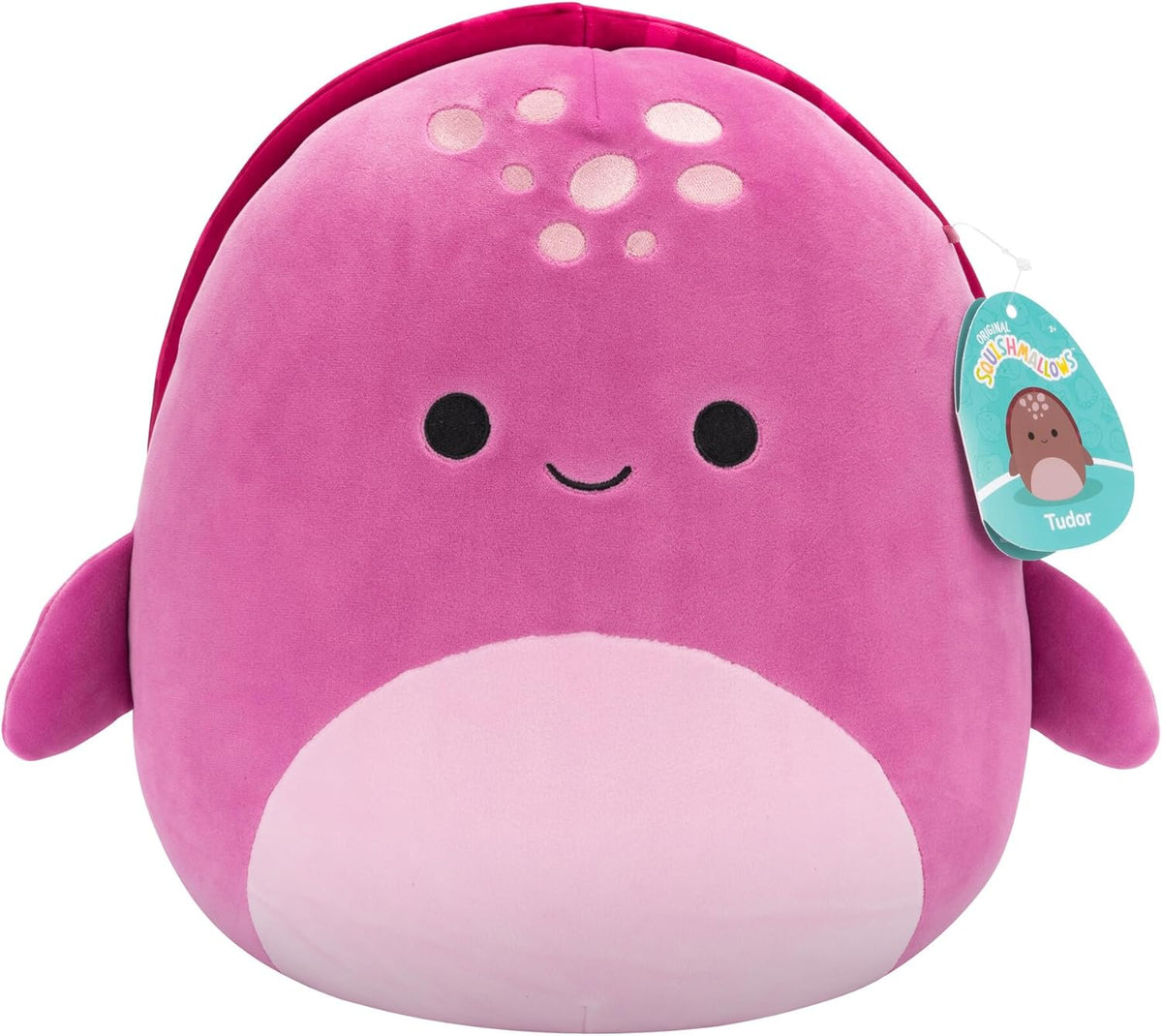 Squishmallow 12 Inch Master Asst Plush