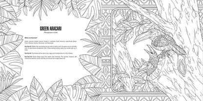 Coloring page: Line art of an adult Green Aracari perched with two chicks on a tropical tree branch
