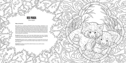Line art of two red pandas -  an adult and a cub with an open mouth -  framed by bamboo and foliage