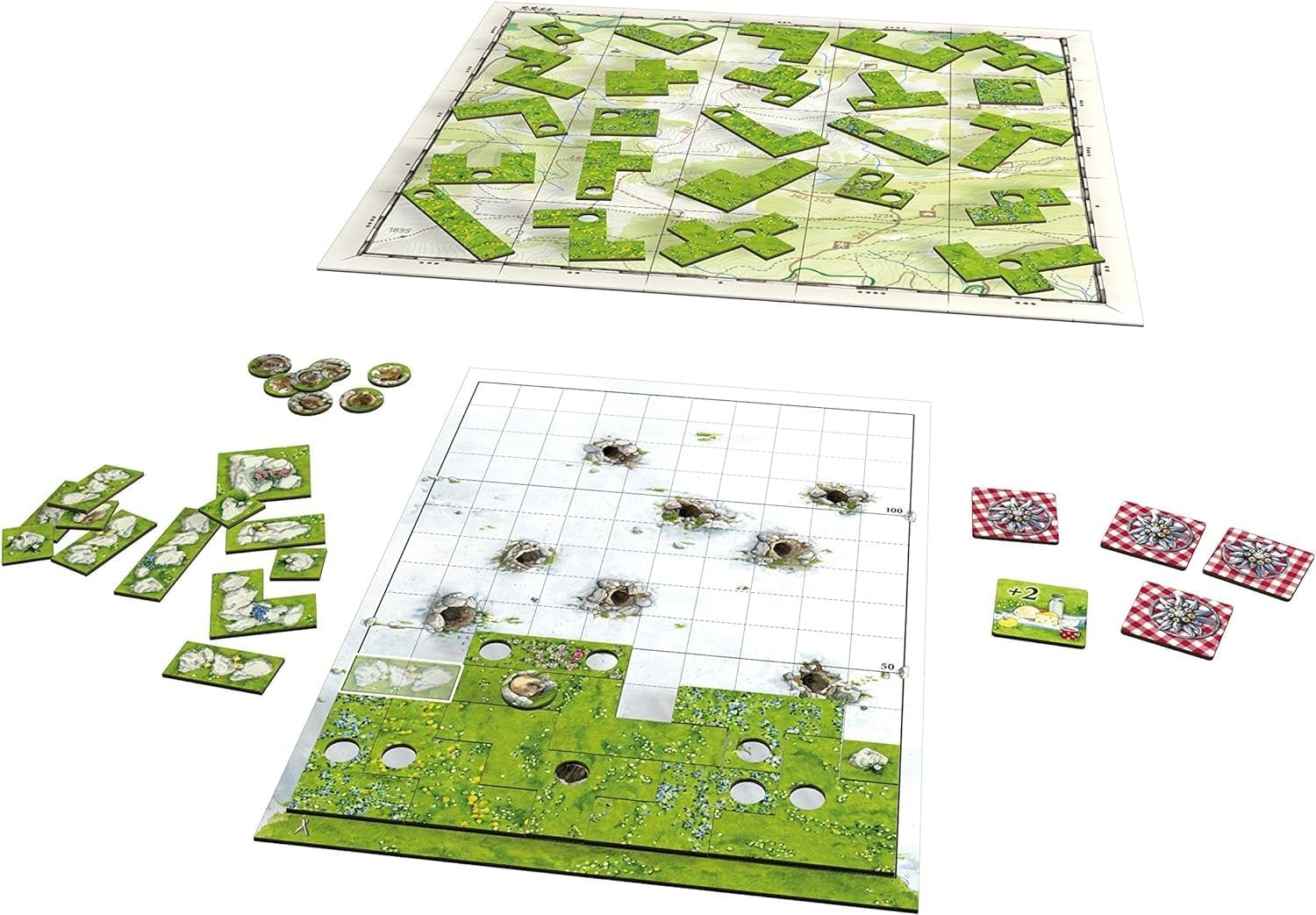 Spring Meadow board game components laid out: A map board with green terrain tiles, a grid board with holes, tokens and patterned cards