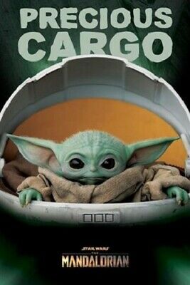 Star Wars - The Mandalorian - Precious Cargo Poster