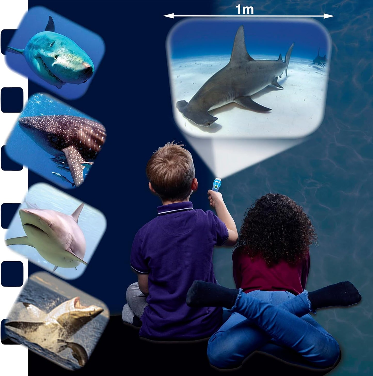 Two kids project a hammerhead shark image onto a wall, surrounded by other shark photos