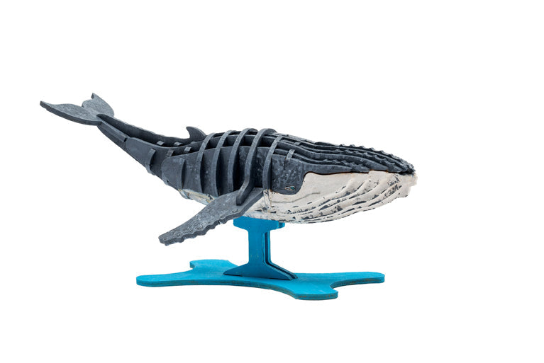 Incredibuilds Humpback Whale 3D wood model and book, gray and white model on blue stand