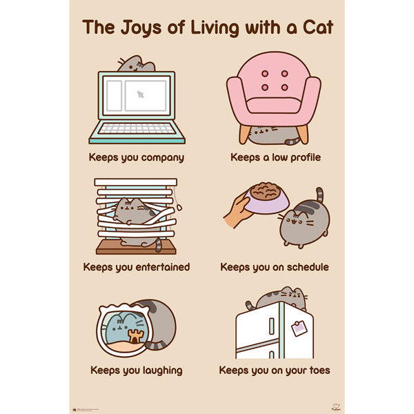 Pusheen - The Joys of Living with a Cat - Reg Poster