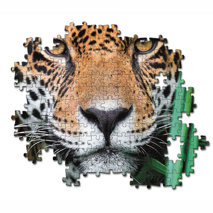 Jaguar In The Jungle (Compact) - Good Games
