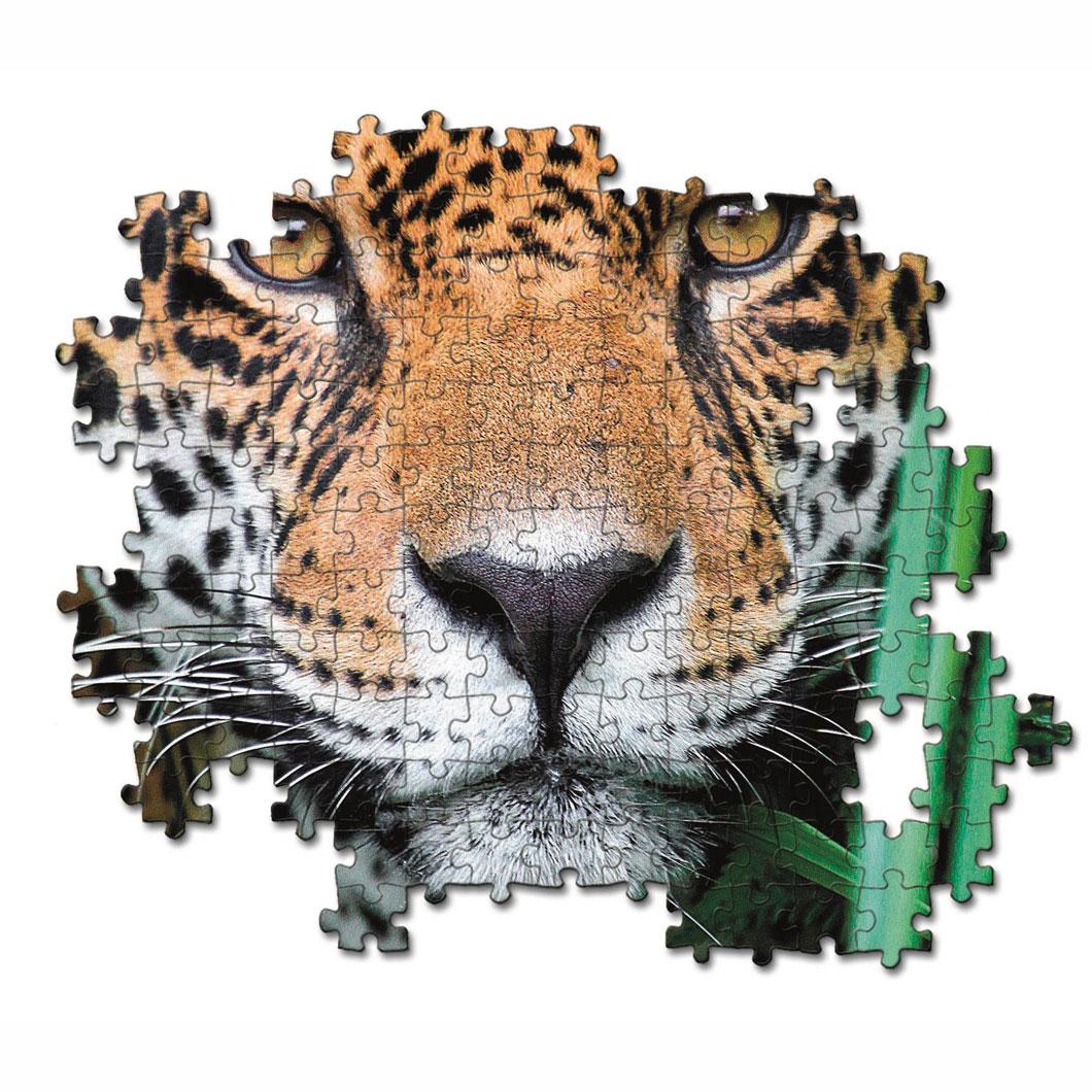 Jaguar In The Jungle (Compact)