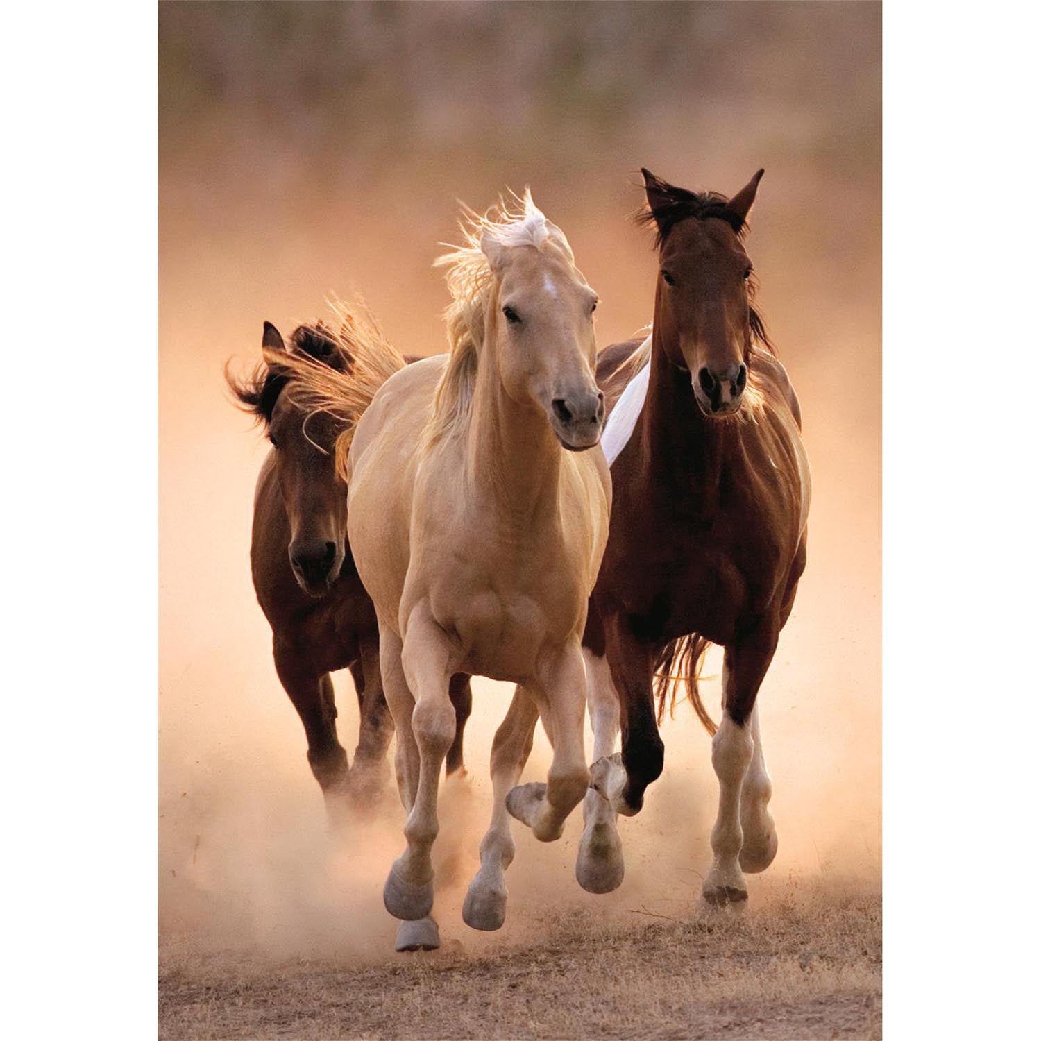 High-quality 1000 piece jigsaw puzzle featuring three wild horses, including one pale palomino, galloping forward through golden dust at sunset