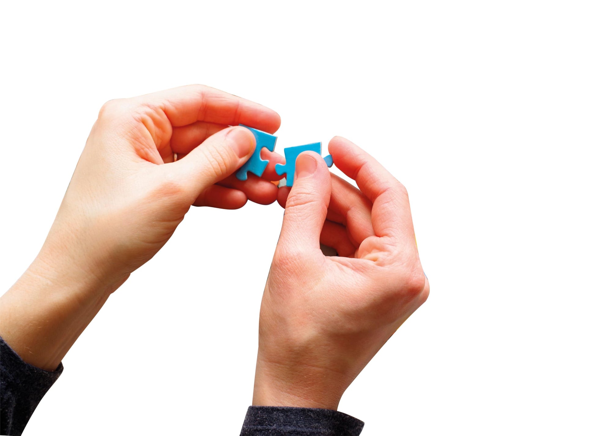 Two hands hold two bright blue jigsaw puzzle pieces in mid-connection against a clean white background