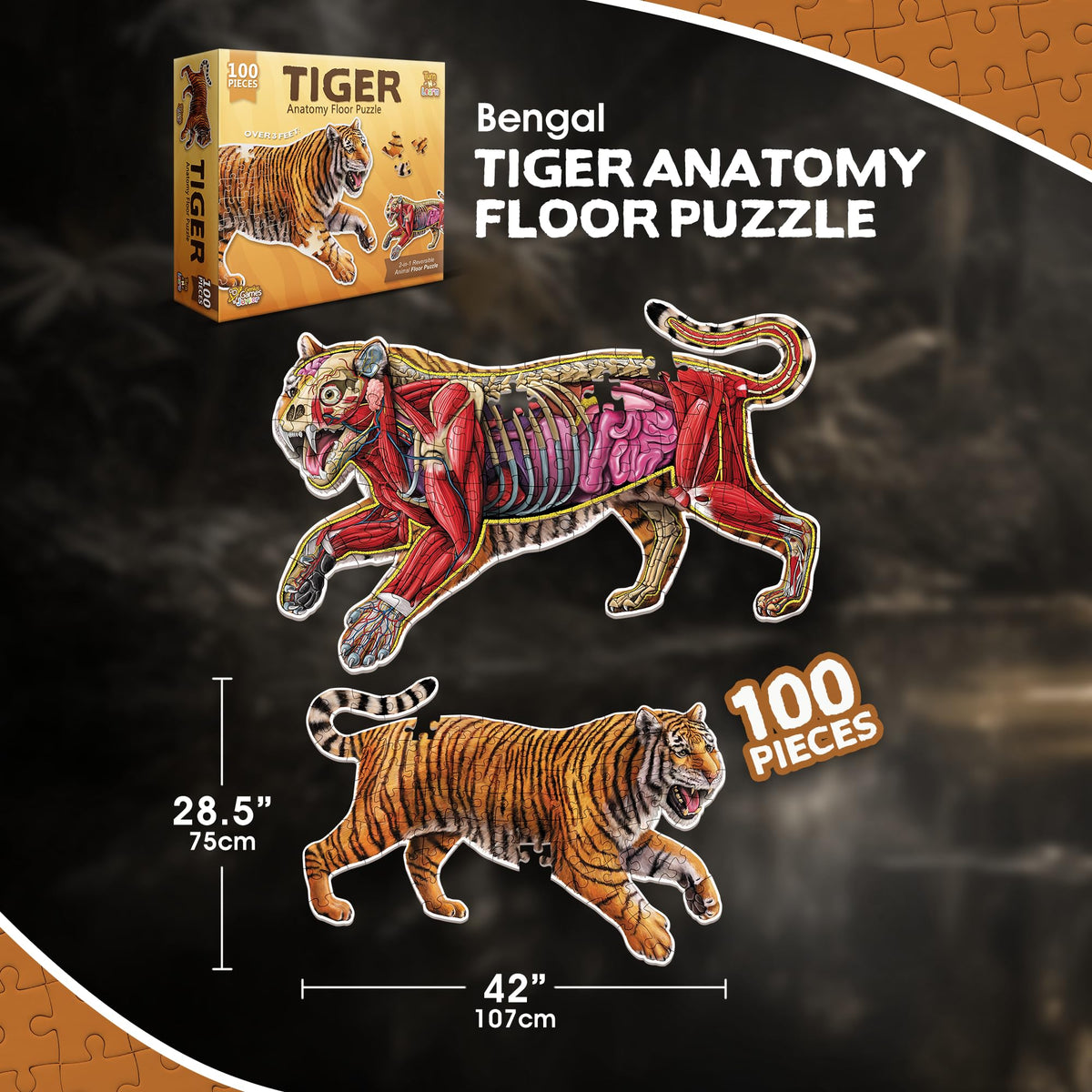 A 100-piece tiger floor puzzle shown with its box, featuring both its striped fur and detailed internal anatomy