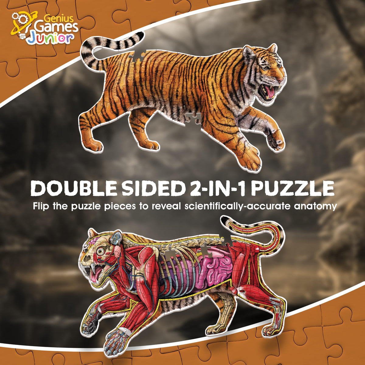 A double-sided tiger jigsaw puzzle shows its striped fur on one side and detailed internal anatomy on the other