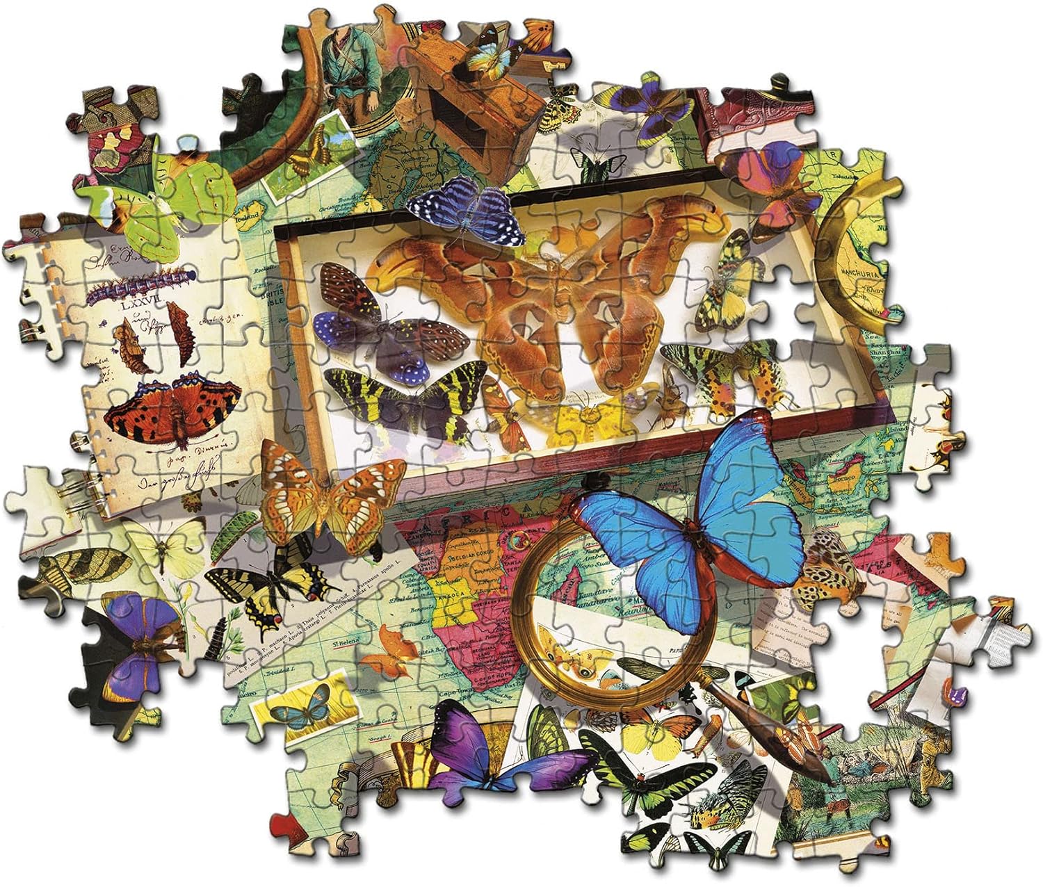 Clementoni - The Butterfly Collector 500 Piece Jigsaw - Good Games