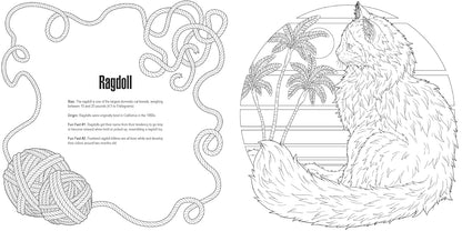 Black and white coloring page of a fluffy Ragdoll cat sitting, looking left, with palm trees. Text provides breed facts, framed by yarn