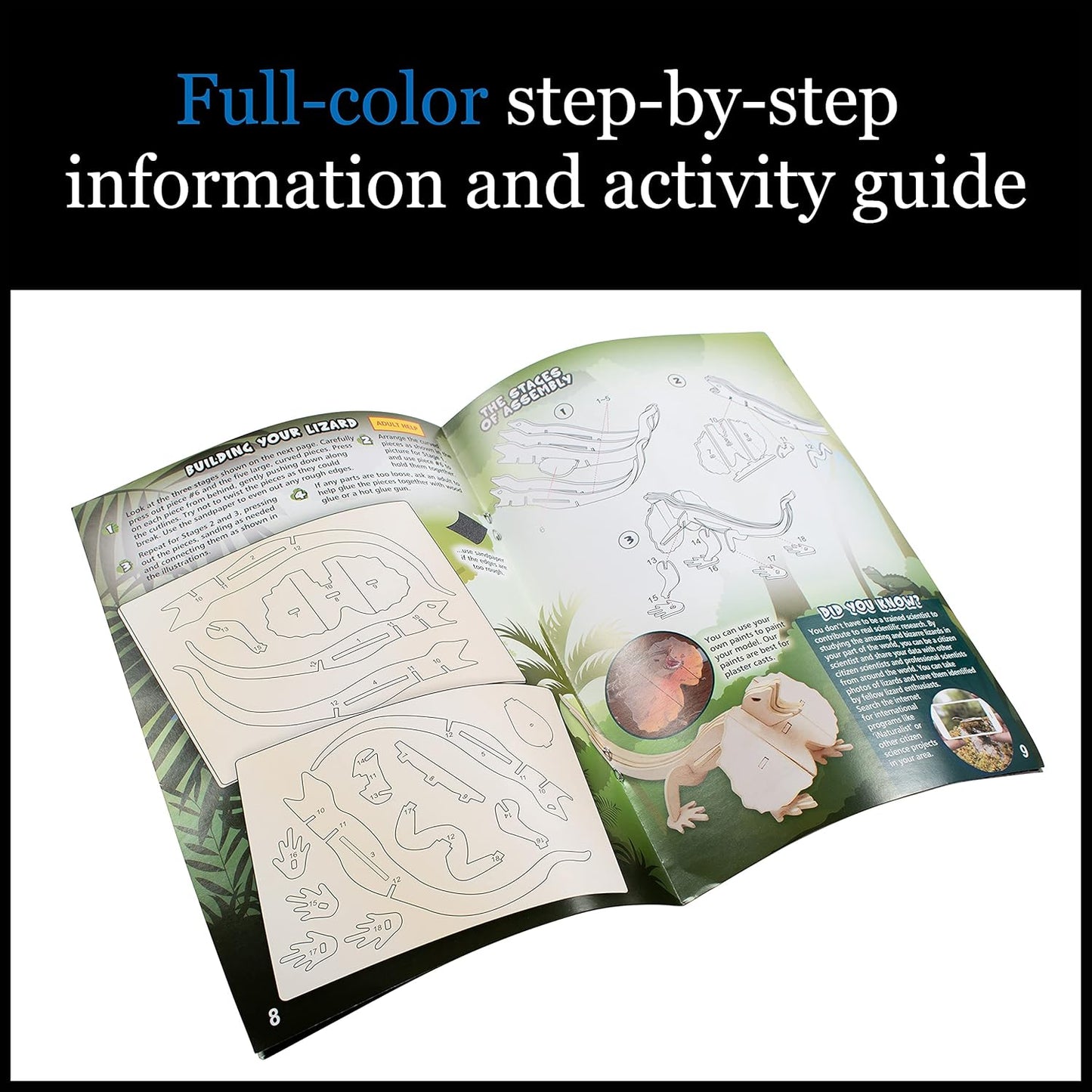 Step-by-step guide open to diagrams and instructions for assembling a frilled lizard 3D puzzle model