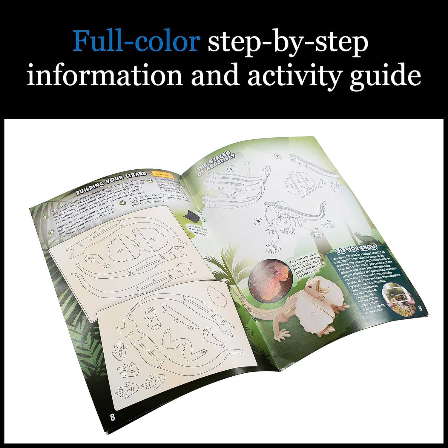 Step-by-step guide open to diagrams and instructions for assembling a frilled lizard 3D puzzle model