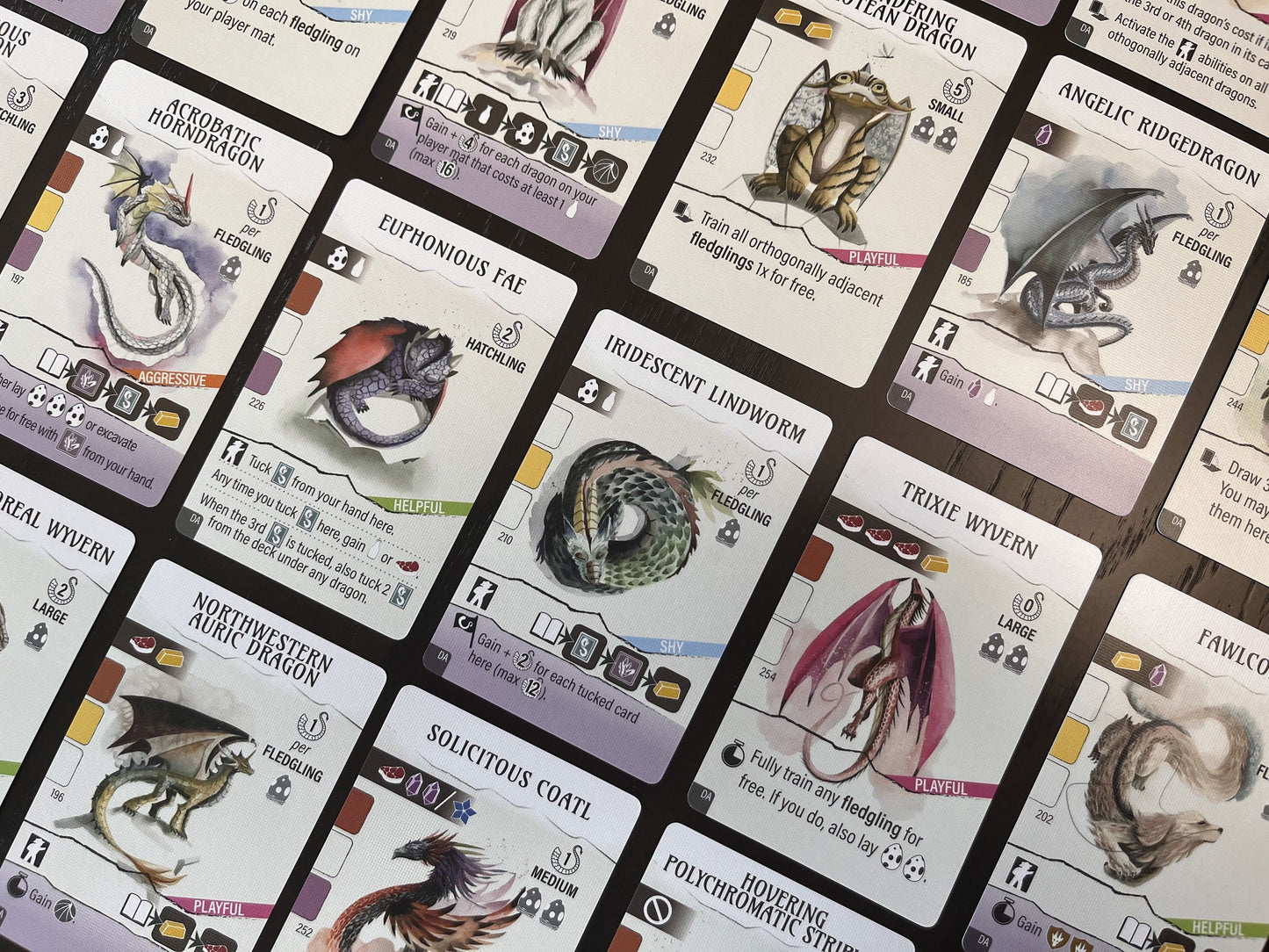 Wyrmspan: Dragon Academy