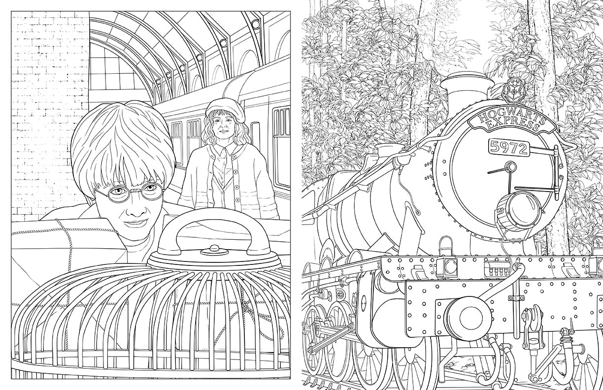 Coloring page: Harry Potter with an owl cage at a train platform, and the Hogwarts Express steam train traveling through a forest