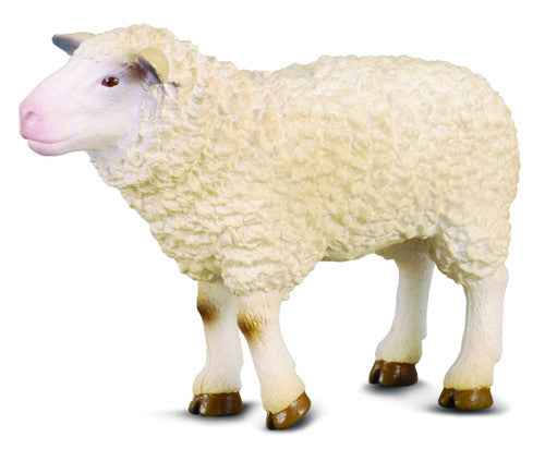 Collecta Sheep (M) - Good Games