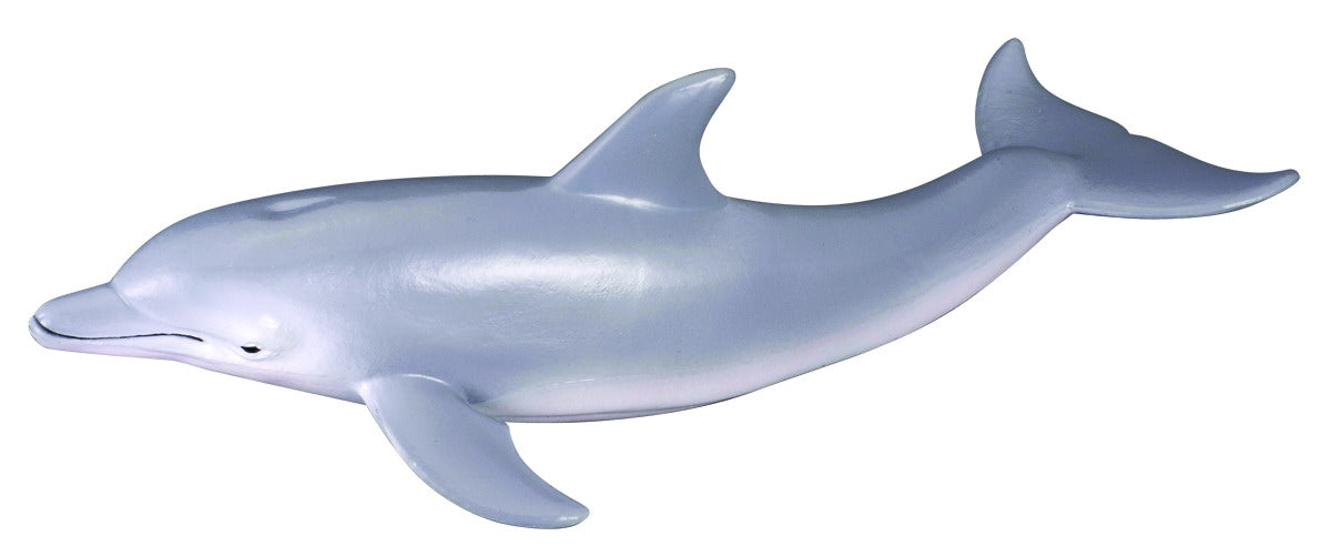 Collecta Bottle Nose Dolphin - M - Good Games