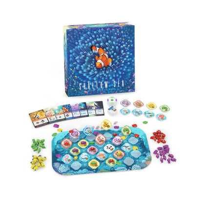 Shallow Sea board game box with clownfish art stands over the rectangular reef board showcasing colorful coral tokens, resource cards, and piles of wooden fish components