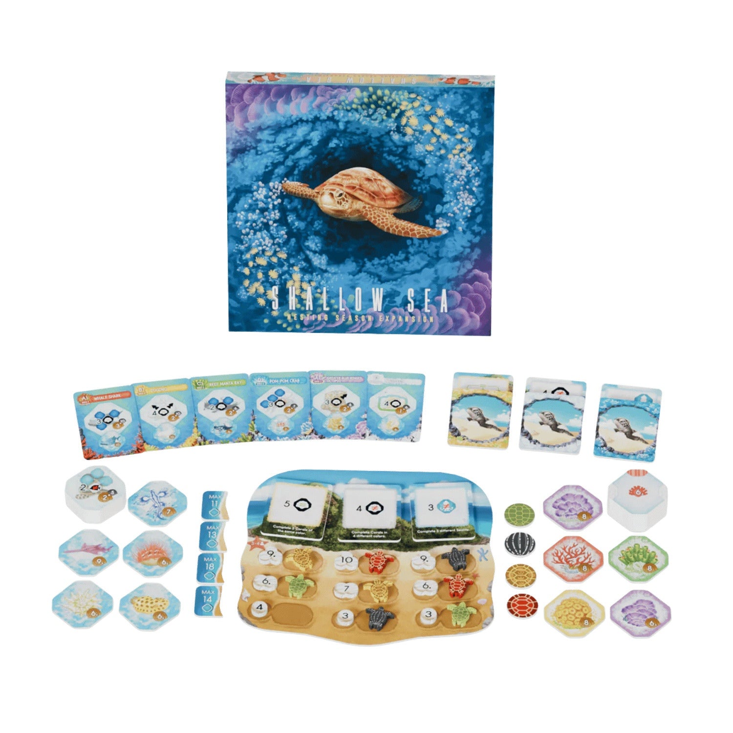 The Shallow Sea Nesting Season expansion box featuring a swimming turtle is shown above its colorful array of creature cards, habitat tiles, and a turtle nesting beach board