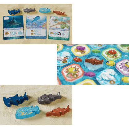 The Shallow Sea Rare Fish Mini-Expansion featuring four unique wooden fish meeples and three illustrated objective cards on a sandy background