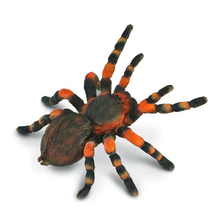 Collecta Red Knee Tarantula - L - Good Games