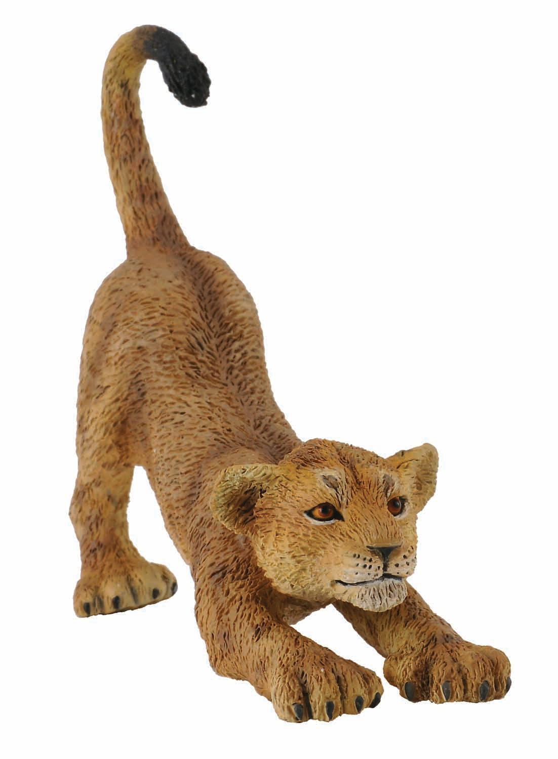 Collecta Lion Cub Stretching - S - Good Games