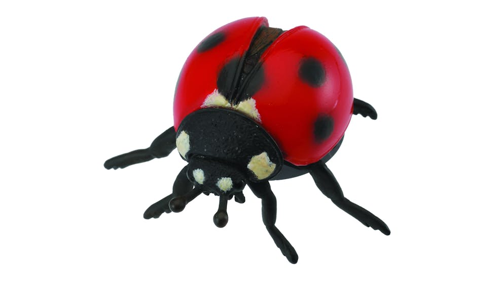 Collecta Ladybird - M - Good Games