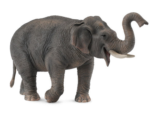 Collecta Asian Elephant (Xl) - Good Games