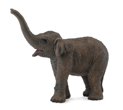 Collecta Asian Elephant Calf (S) - Good Games
