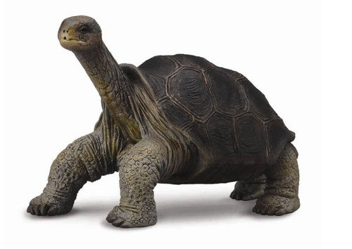 Collecta Tortoise Pinta Island (George) (M) - Good Games