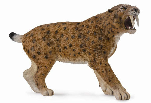 Collecta Smilodon (Xl) - Good Games