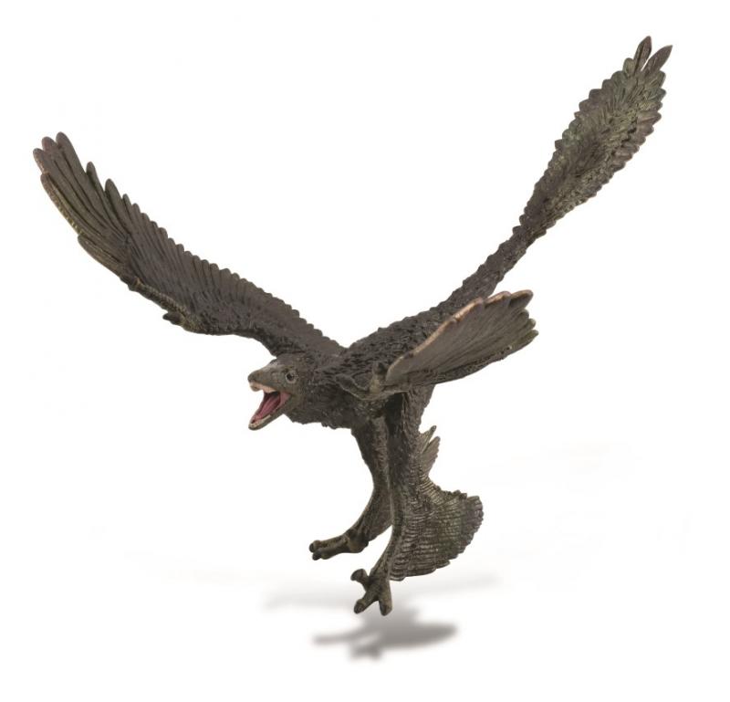 Collecta Microraptor - XL - Good Games