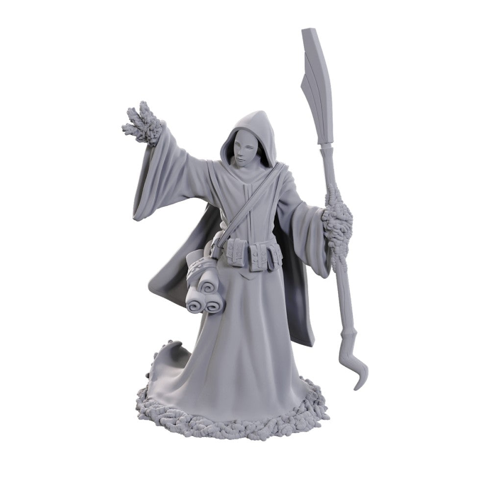 Dungeons &amp; Dragons Nolzurs Marvelous Miniatures: Star Spawn Larva Mage