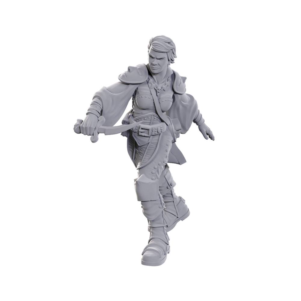 Dungeons & Dragons Nolzurs Marvelous Miniatures: Swashbuckler - Good Games