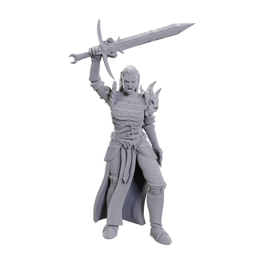 Dungeons &amp; Dragons Nolzurs Marvelous Miniatures: Blackguard