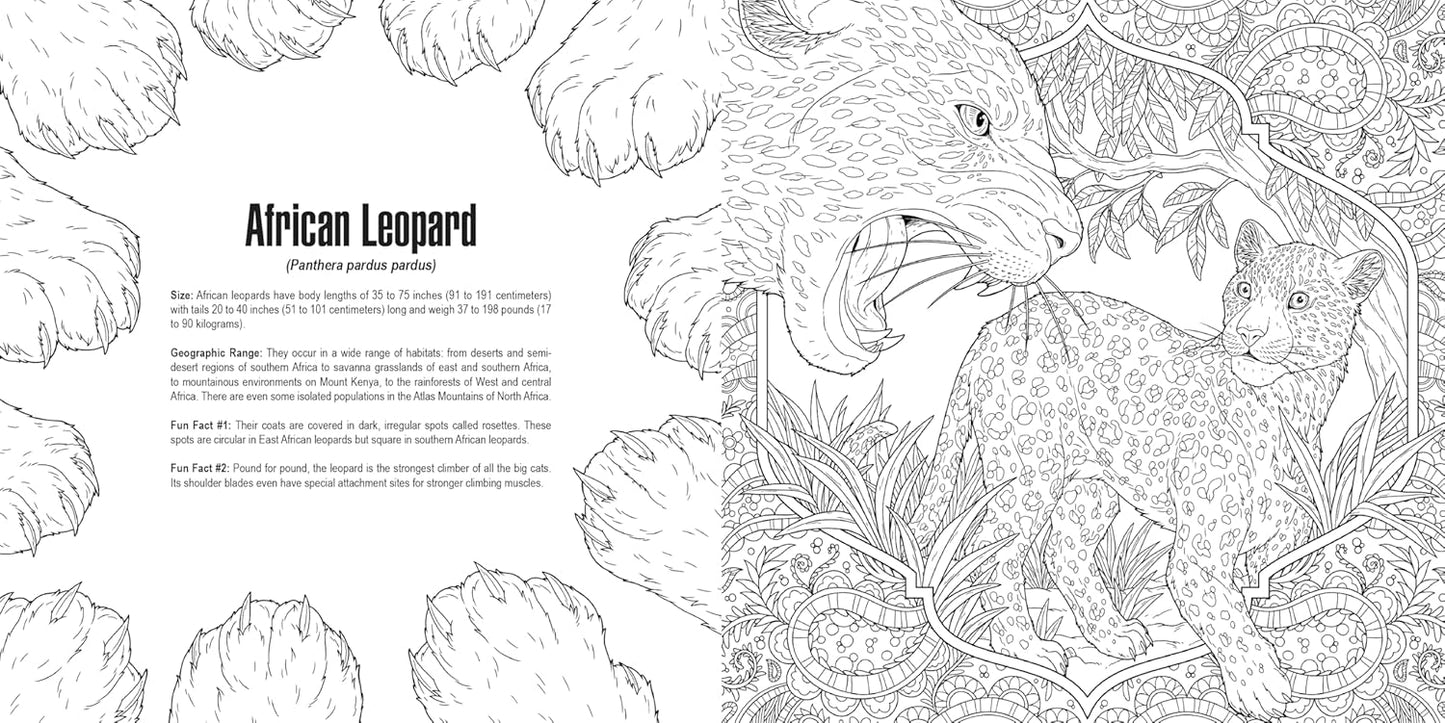 Black and white coloring page: African leopard roaring, with a cub, foliage, and descriptive text about leopards