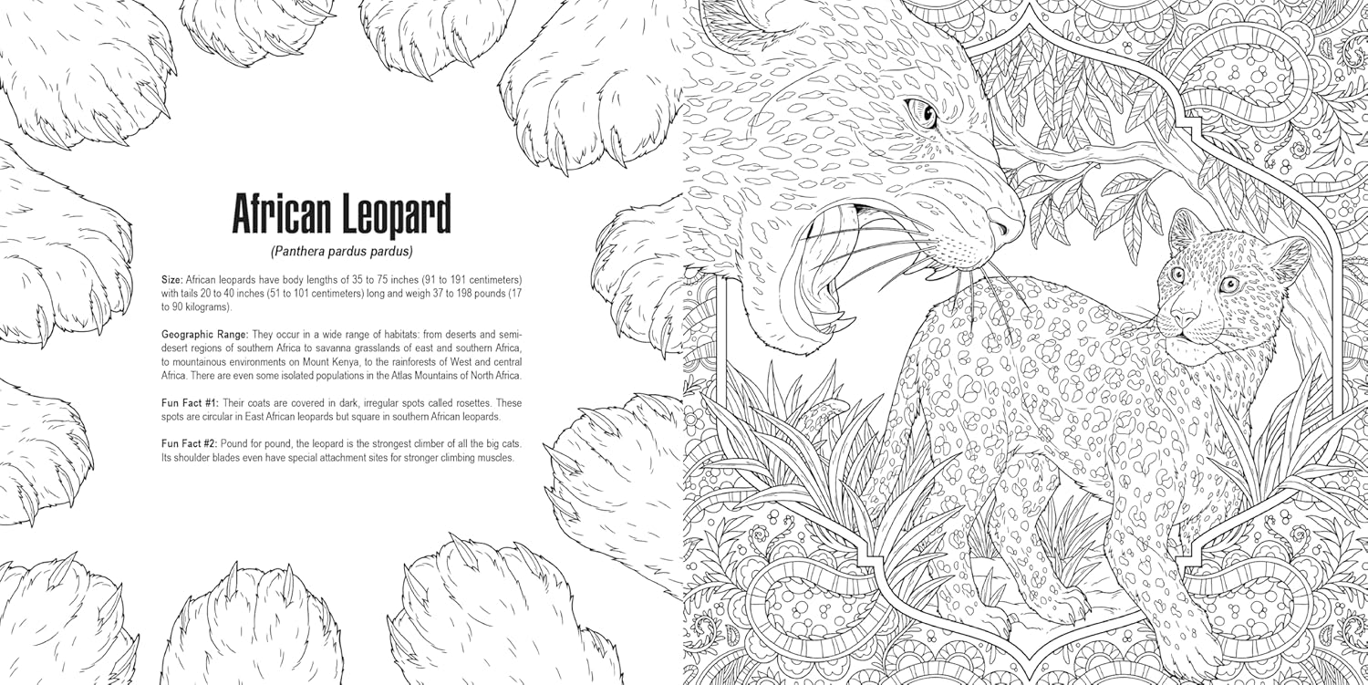 Black and white coloring page: African leopard roaring, with a cub, foliage, and descriptive text about leopards