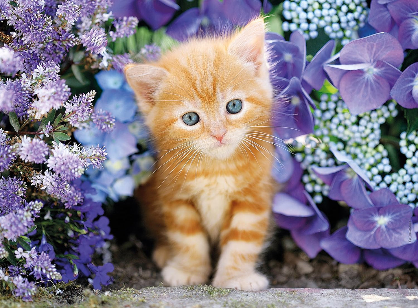 Ginger Cat In Flowers 500 Piece Jigsaw - Good Games
