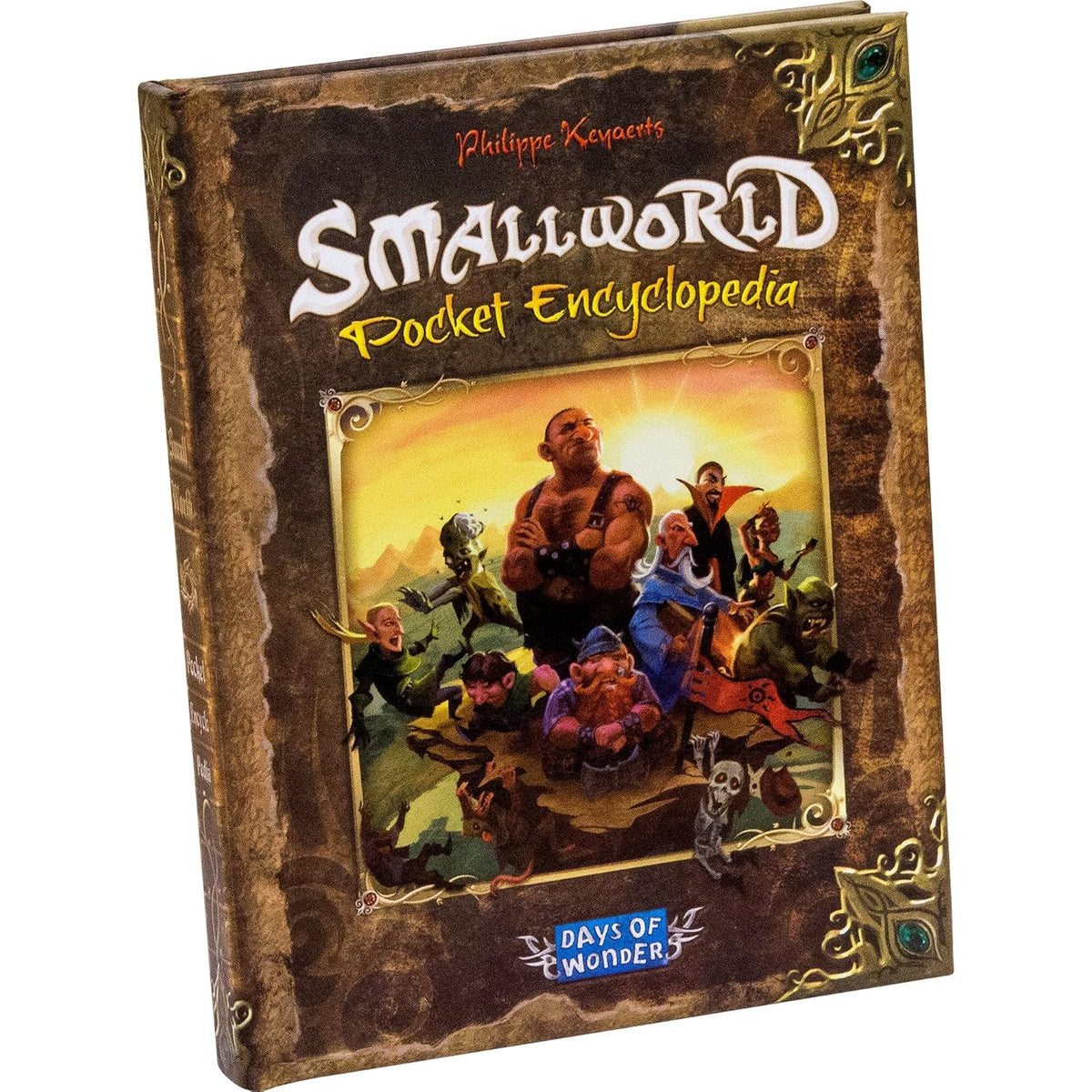 Detailed view of Small World game board with placed tokens and region divisions