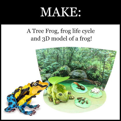 Colorful 3D puzzle frog model and a life cycle diorama featuring models of a frog, tadpoles, and eggs