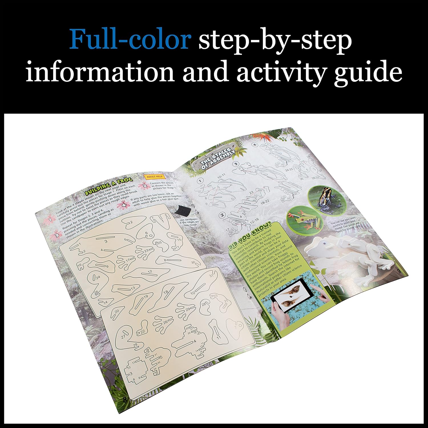 Open activity guide with diagrams and assembly instructions for building a wooden frog model
