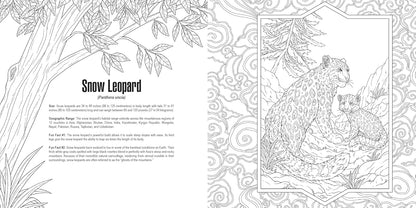 Coloring page: Line art of an adult snow leopard and a cub sitting in a rocky mountain landscape with descriptive text