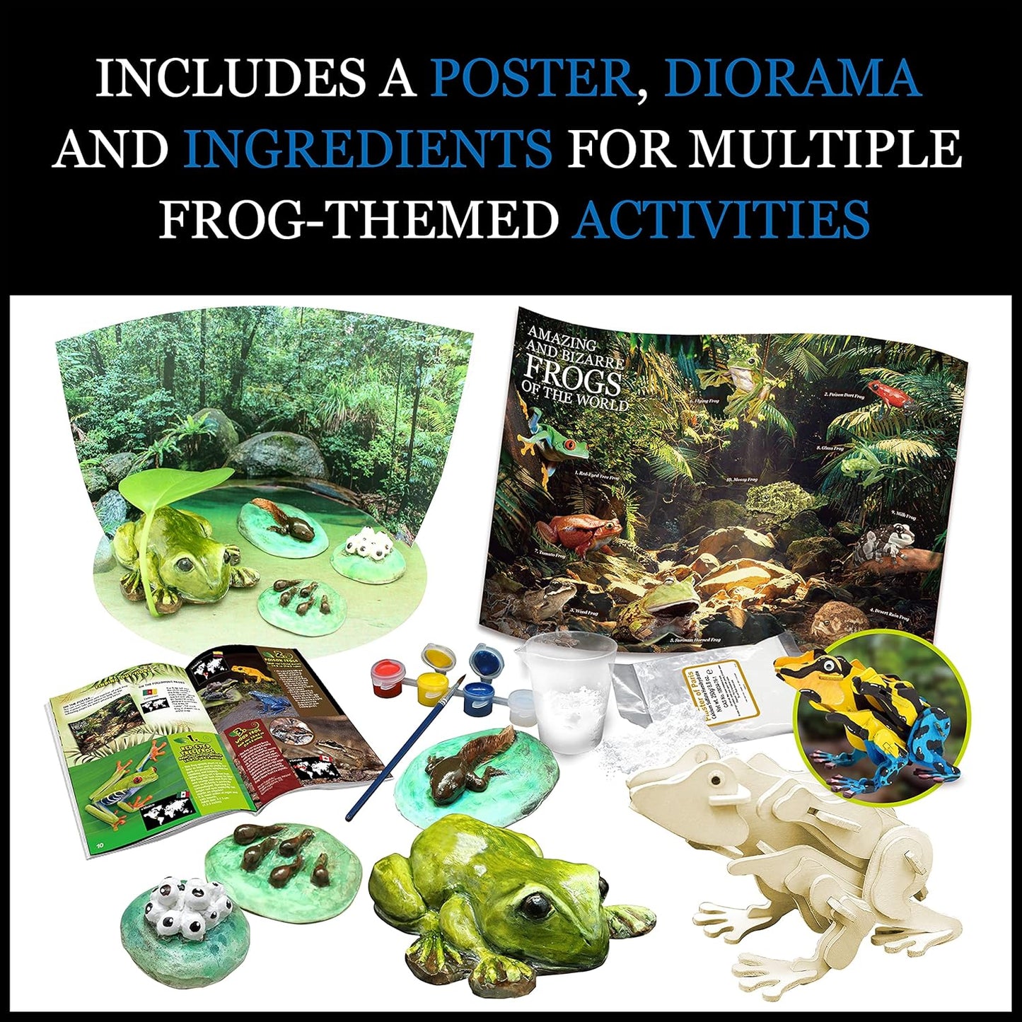 Contents of a frog-themed educational kit, including a poster, diorama materials, molded frogs, paint, and a wooden frog puzzle