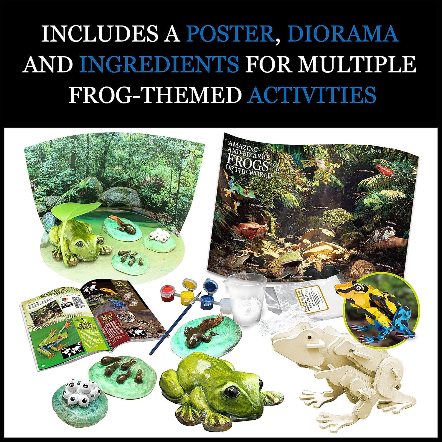 Contents of a frog-themed educational kit, including a poster, diorama materials, molded frogs, paint, and a wooden frog puzzle