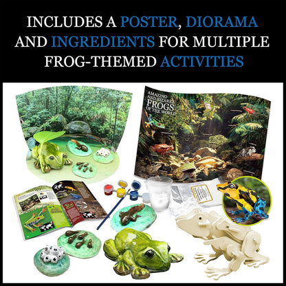 Contents of a frog-themed educational kit, including a poster, diorama materials, molded frogs, paint, and a wooden frog puzzle