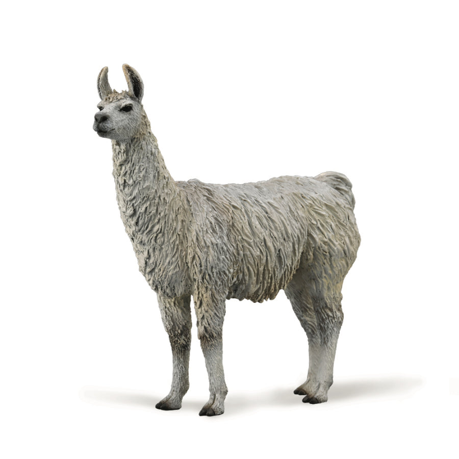 Collecta Llama - M - Good Games